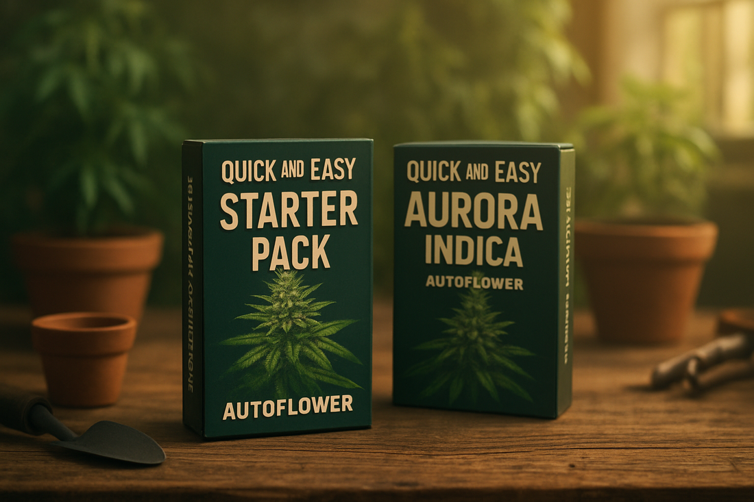 Quick and Easy Starter Pack: Is It Right for You? - Nirvana USA
