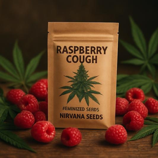 Is Raspberry Cough Feminized Worth It? 2026 Review