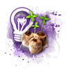 Easy to grow