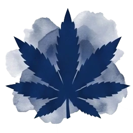 Indica Cannabis strains - Ultimate Relaxation Awaits - Nirvana USA