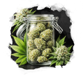 High Yielding Starter Pack - Nirvana USA