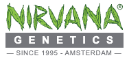 Nirvana USA