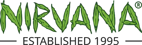 Nirvana USA