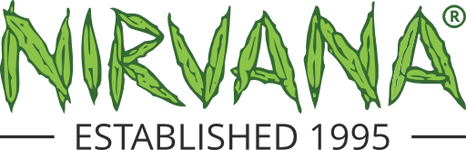 Nirvana USA