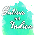 Sativa vs Indica Starter Pack - Nirvana USA