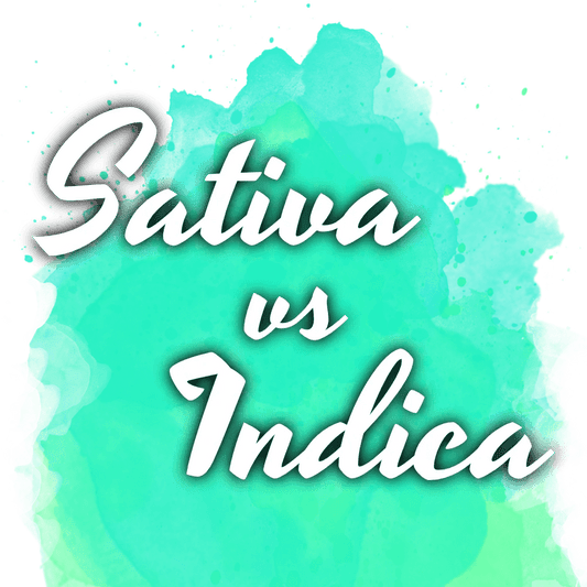 Sativa vs Indica Starter Pack - Nirvana USA
